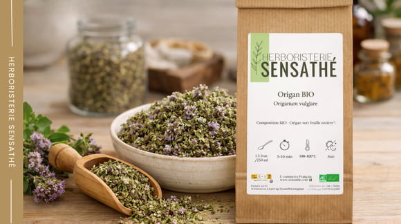 Origan séché en tisane utilisé en phytothérapie pour ses bienfaits pour les voies respiratoires, la digestion et l’immunité - Herboristerie Sensathé Origan séché en tisane utilisé en phytothérapie pour les voies respiratoires, la digestion et l’immunité - Herboristerie Sensathé